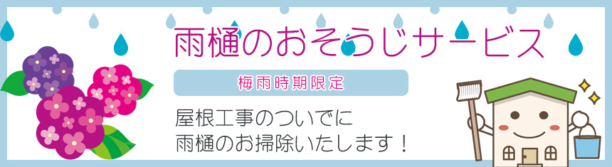 雨樋のお掃除サービス