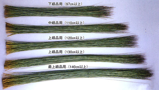 装修效果